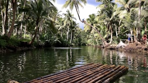 A serene tropical river scene surrounded by tall palm trees under a partly cloudy sky. A bamboo raft floats in the calm water. On the right side, people are enjoying a day by the river, with one person climbing a bent palm tree leaning over the water.