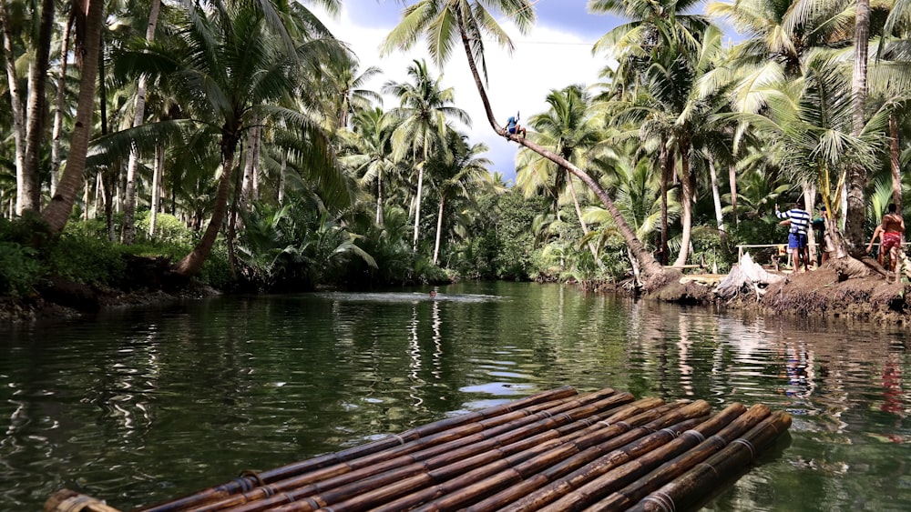 brown wooden dock near green trees during daytime