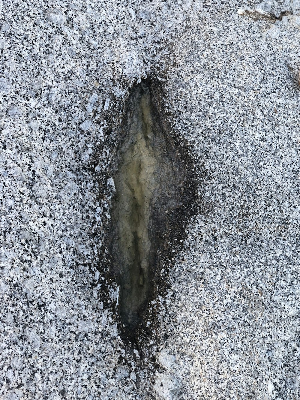 water splash on gray and white marble surface