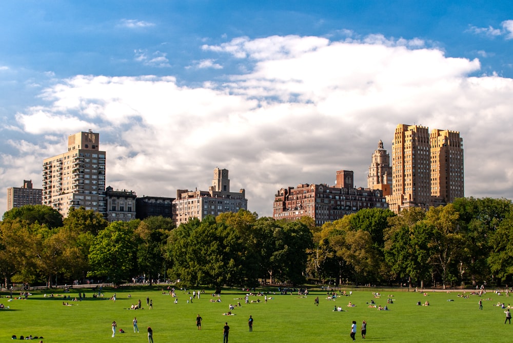 people playing soccer on green grass field during daytime