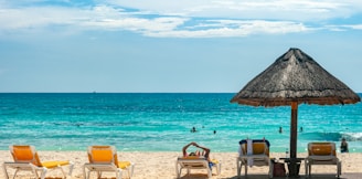 brown beach umbrellas on beach during daytime