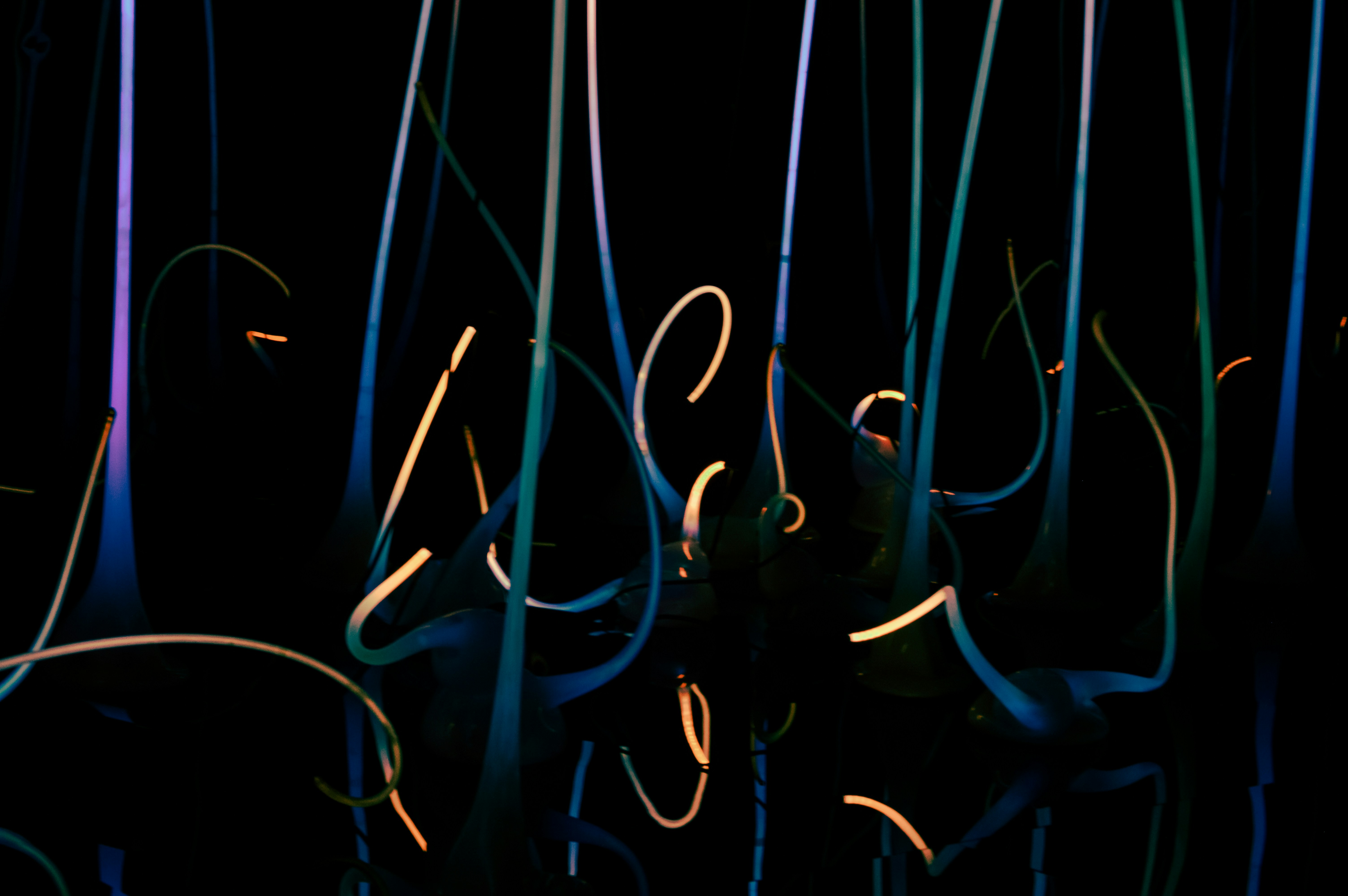 500+ Glow In The Dark Pictures | Download Free Images on Unsplash