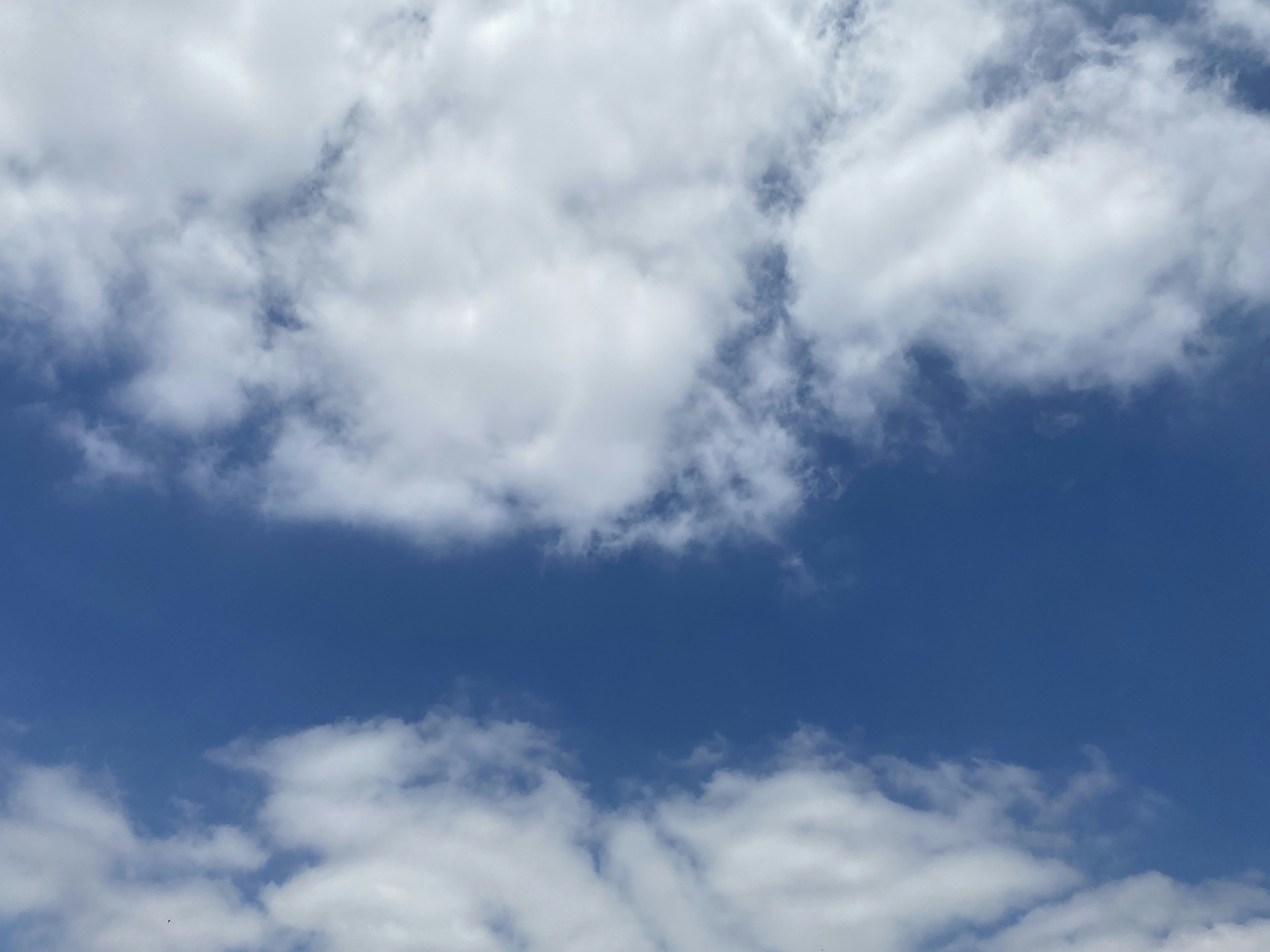 Photo by courtney_hooks