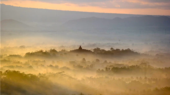 A serene sunrise over a misty Sri Lankan jungle, hinting at hidden luxury adventures.