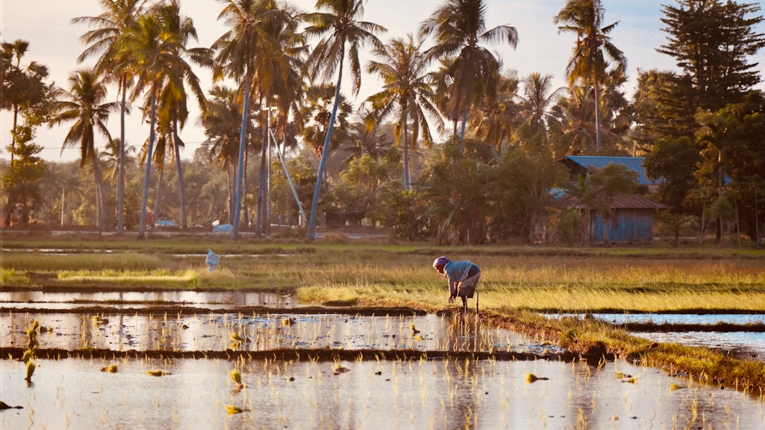 travelers stories about Wildlife in Sumba, Indonesia