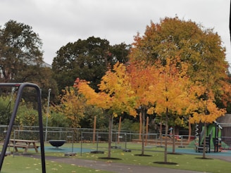 A playground area surrounded by trees with vibrant autumn foliage in shades of orange and yellow. Play equipment includes swings and climbing structures with safety railings. The ground is covered with artificial grass, and there are fallen leaves scattered around.