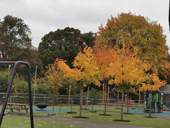 A playground area surrounded by trees with vibrant autumn foliage in shades of orange and yellow. Play equipment includes swings and climbing structures with safety railings. The ground is covered with artificial grass, and there are fallen leaves scattered around.