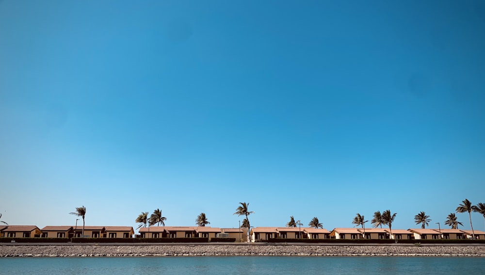 Gente caminando por la playa durante el día