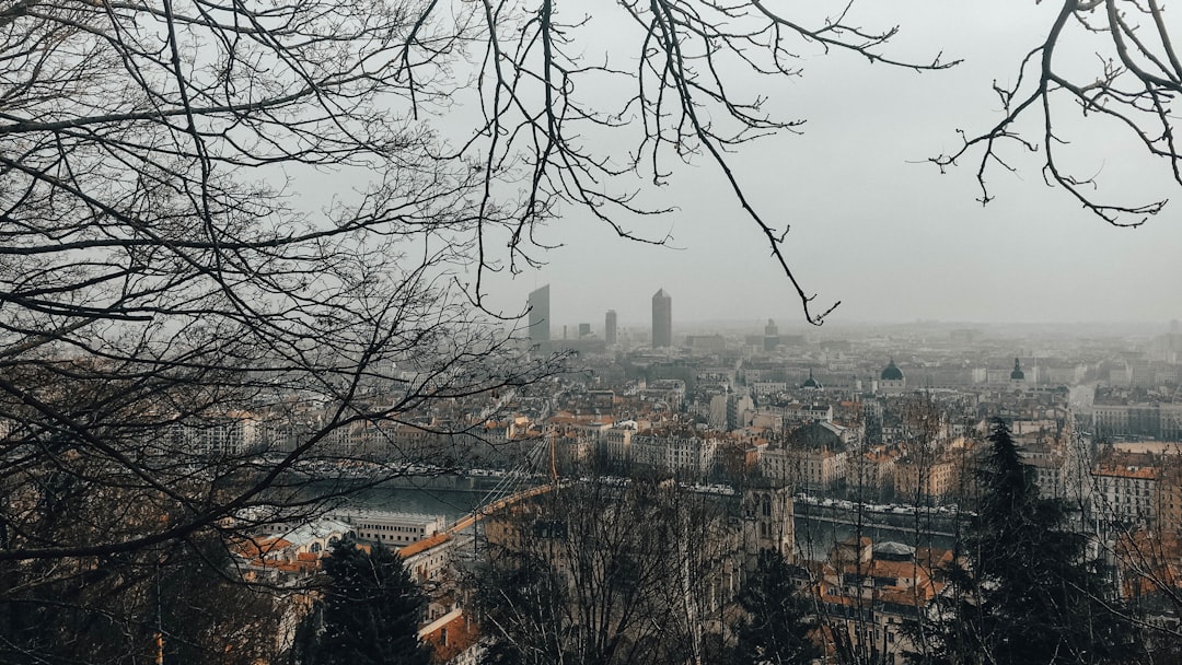 bare tree near city buildings during daytime