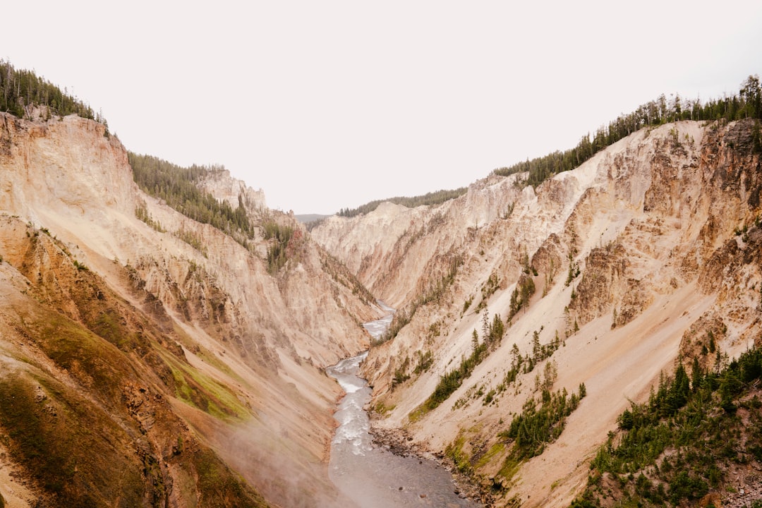 travelers stories about Hill in Yellowstone National Park, United States