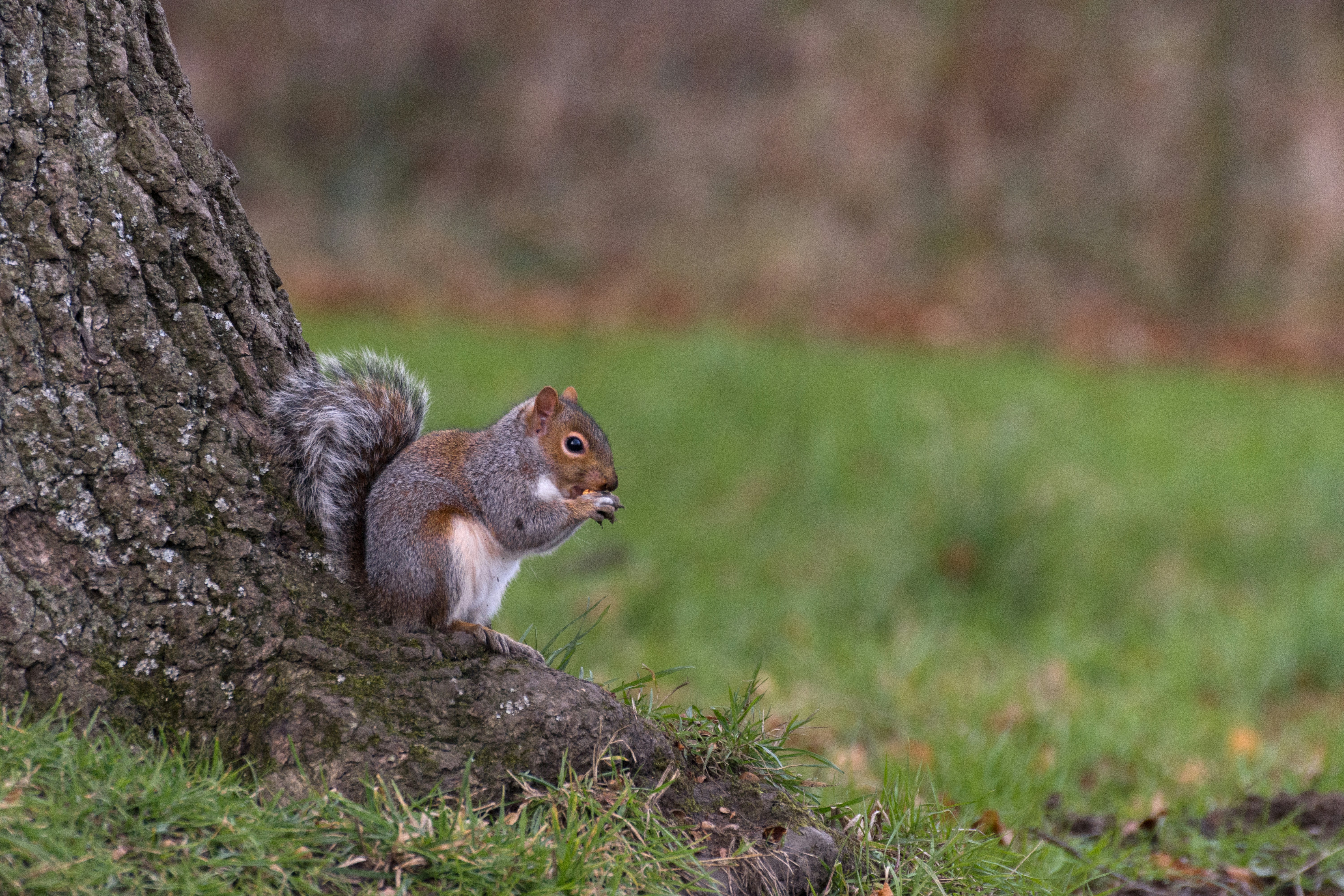 Photo by garyellisphoto