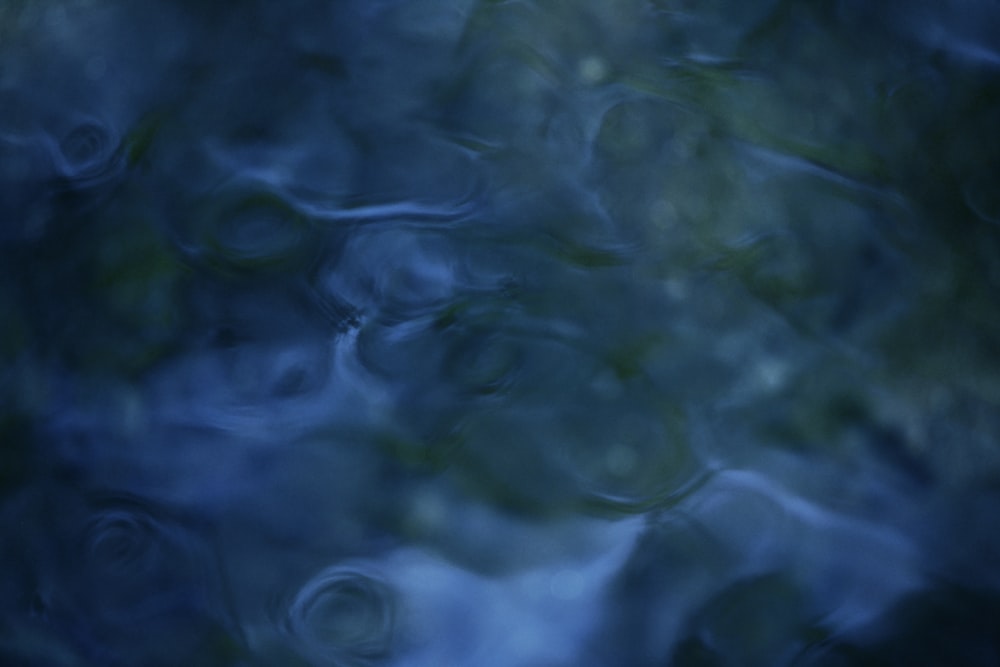 close up photo of water