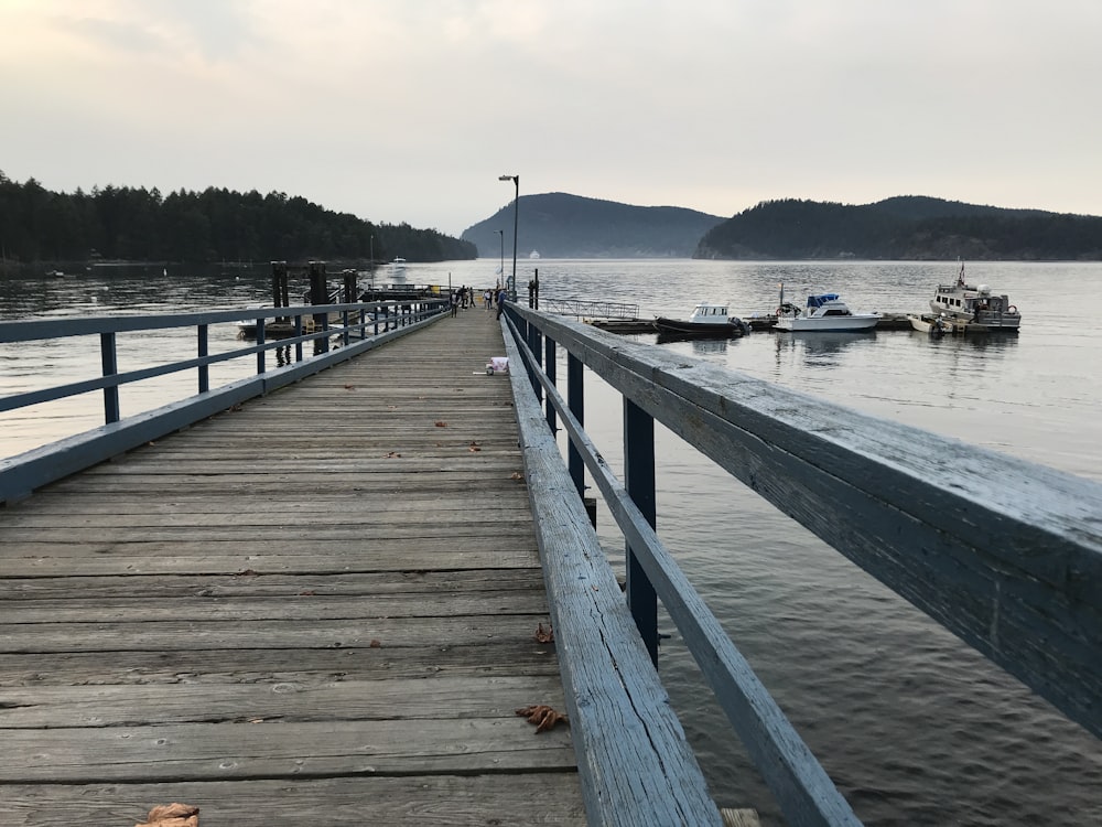 brown wooden dock on body of water during daytime