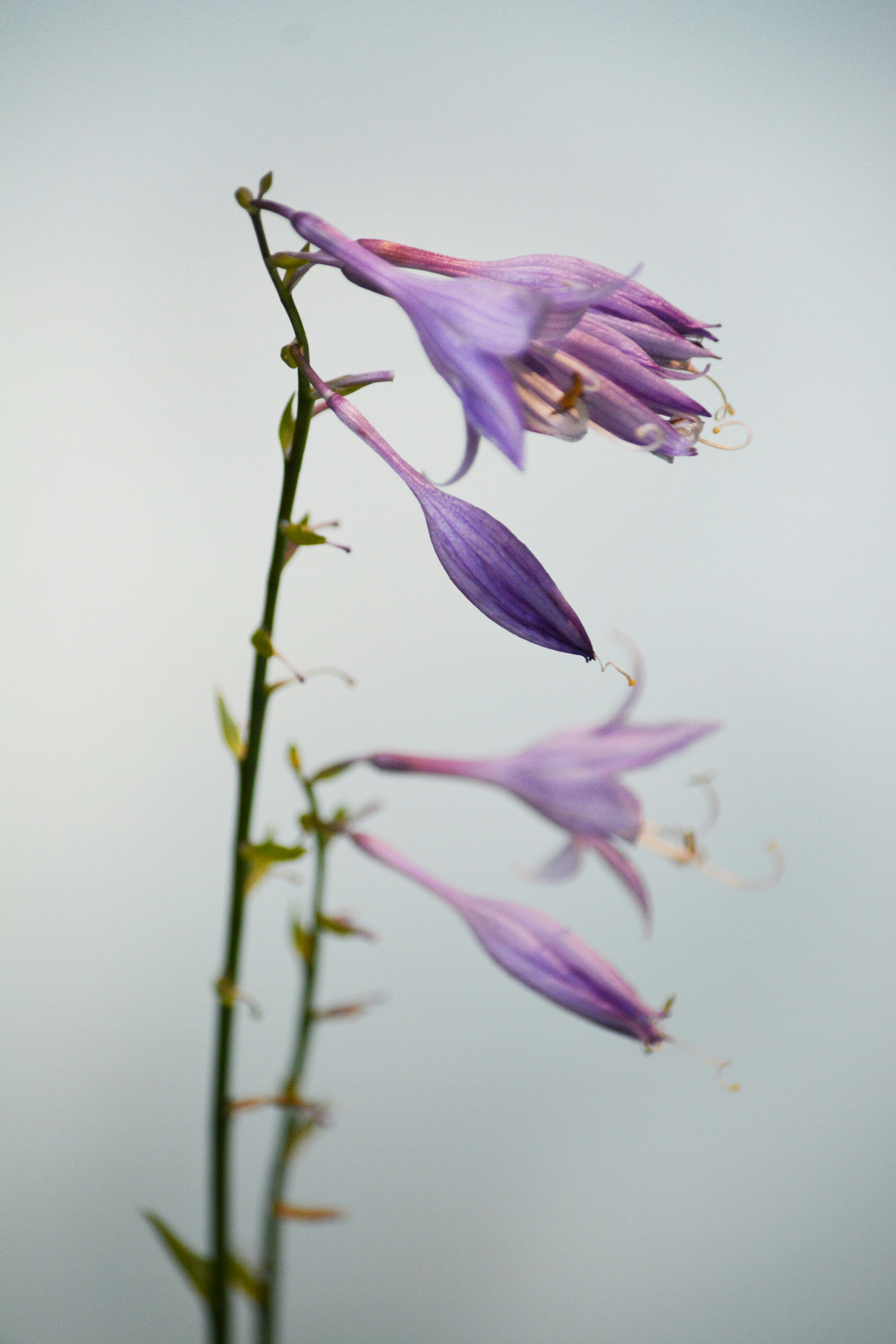 Photo by christinadera