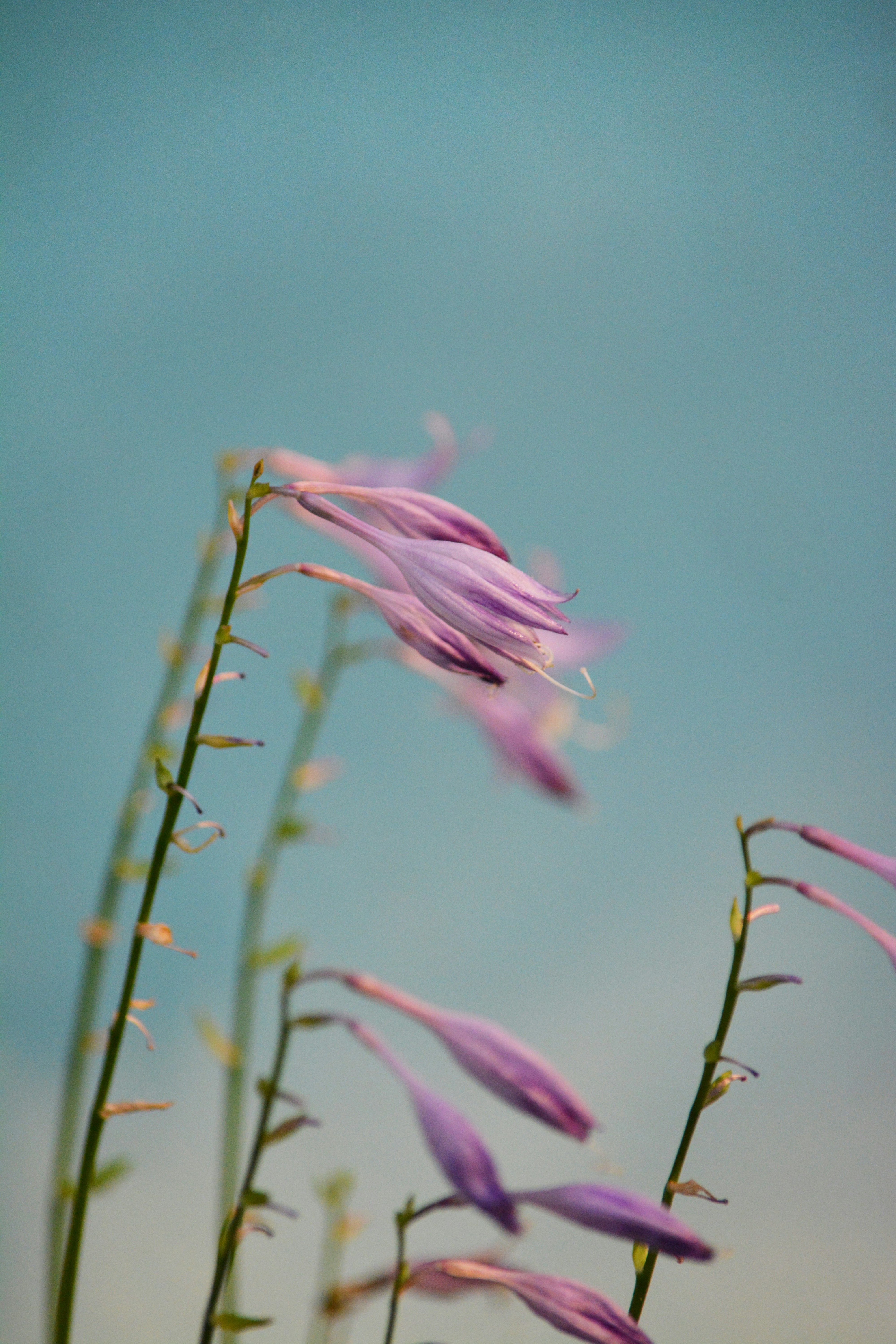 Photo by christinadera