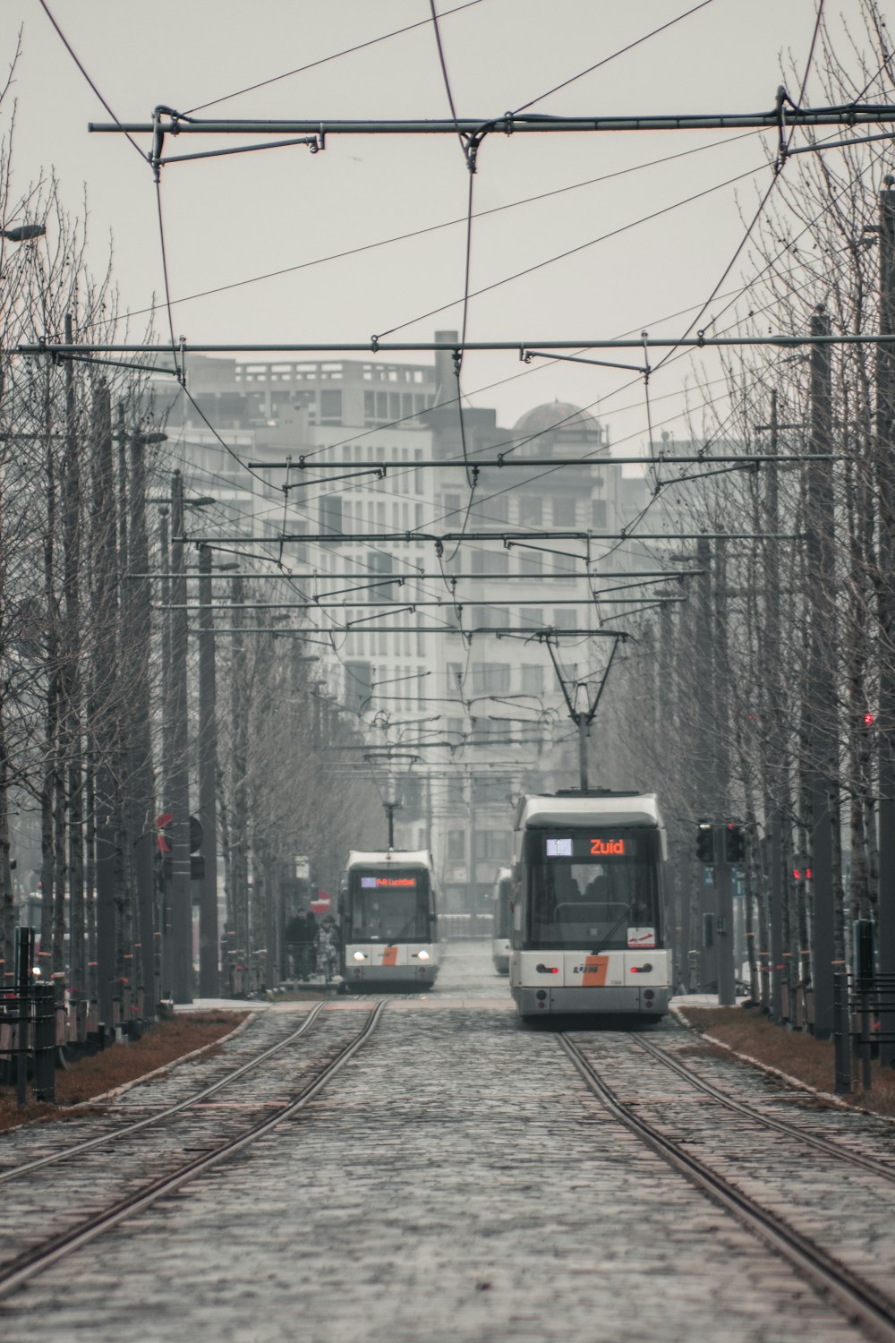 white and red train on rail tracks