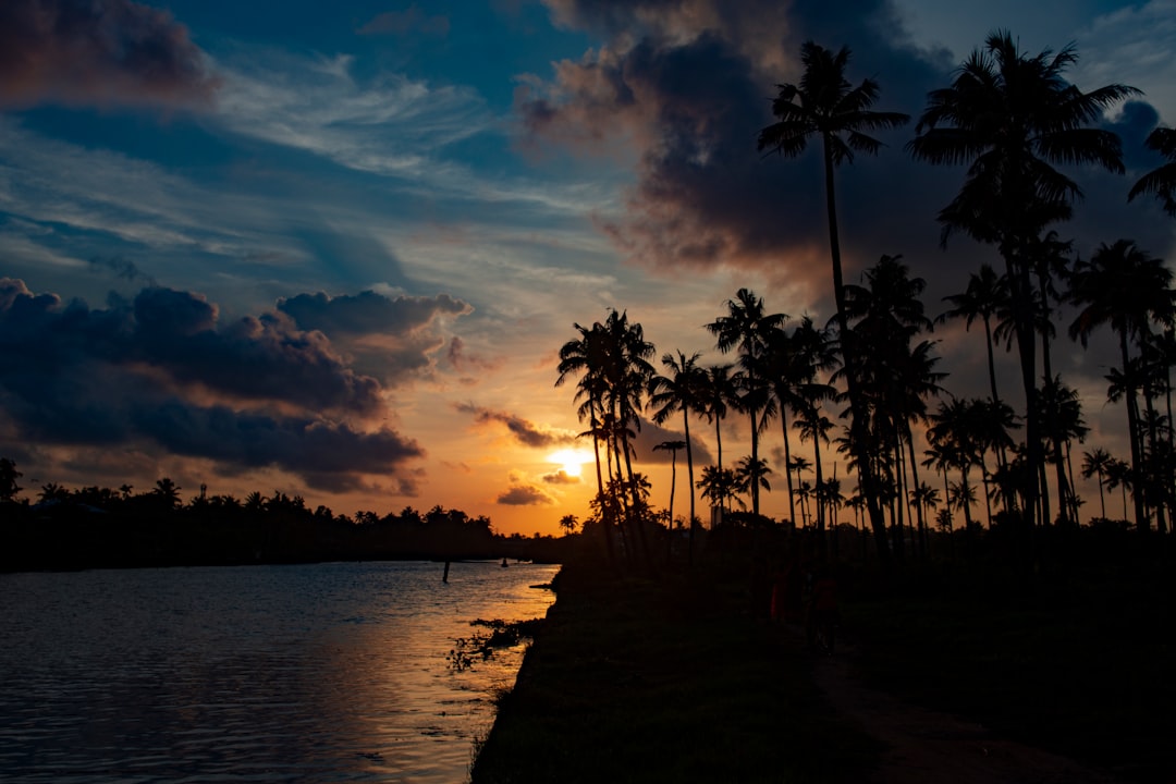 Tropics photo spot Thuthiyoor Kerala Backwaters
