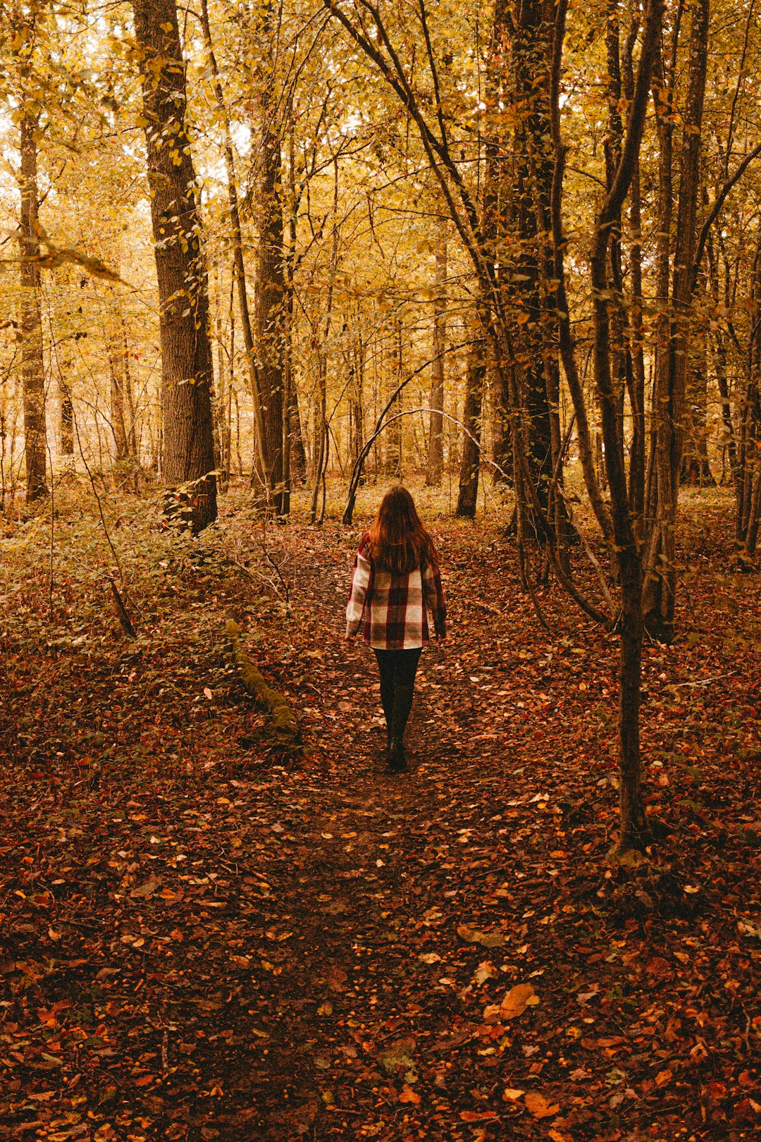 woman in red and black plaid coat standing on brown leaves covered ground surrounded by trees