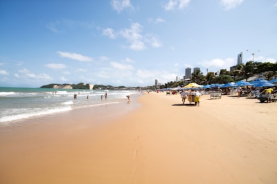 people on beach during daytime