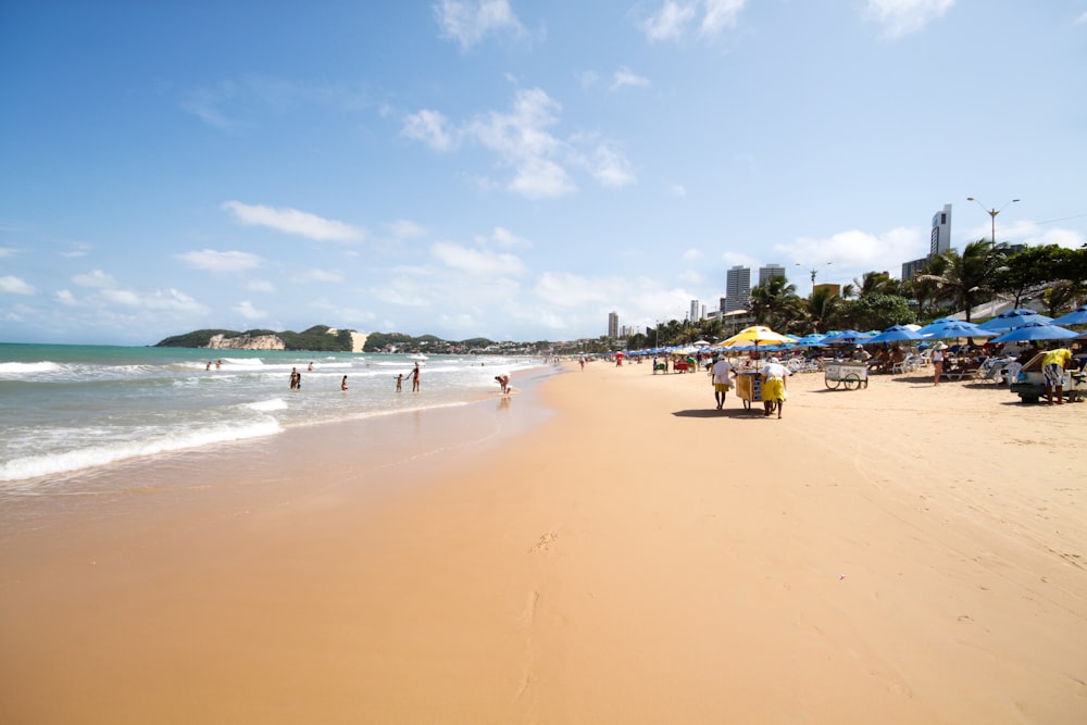 pessoas na praia durante o dia