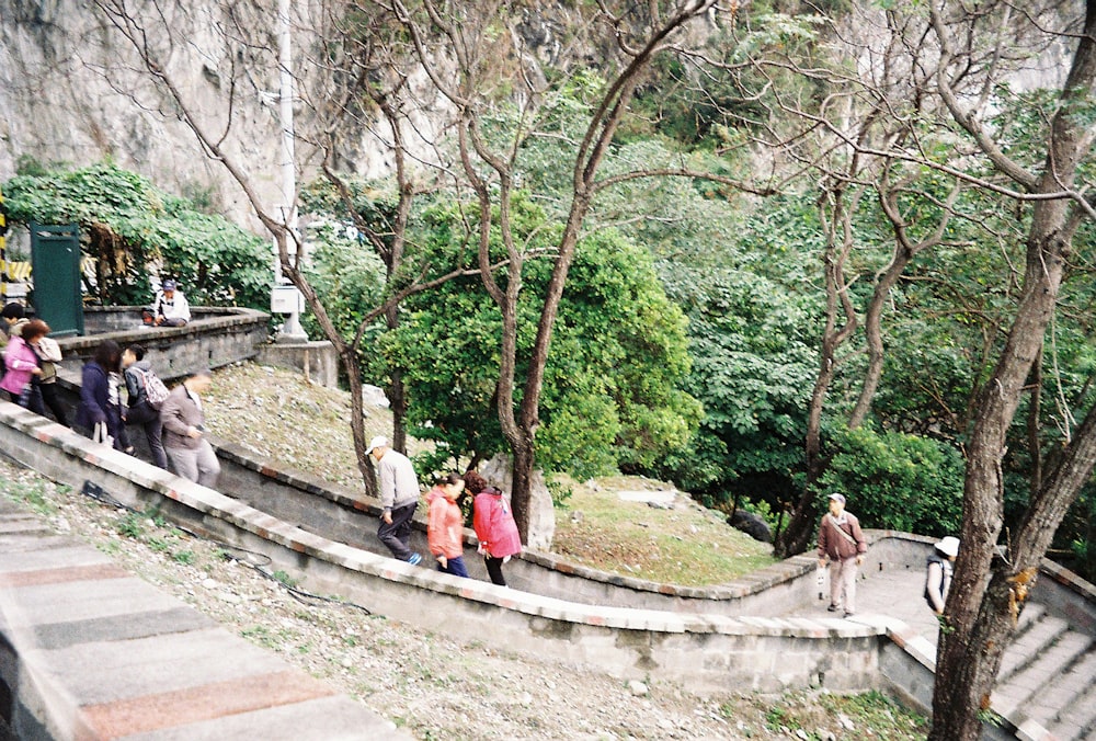 people sitting on concrete stairs near green trees during daytime