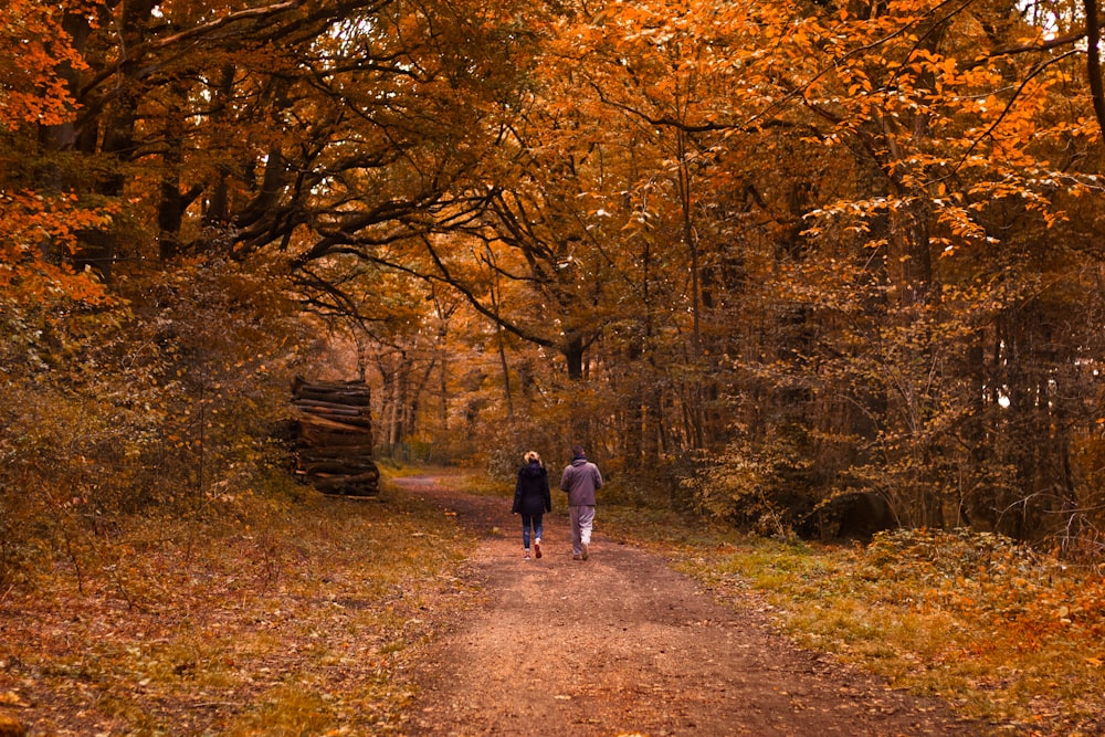 2 personas caminando por el sendero entre los árboles durante el día