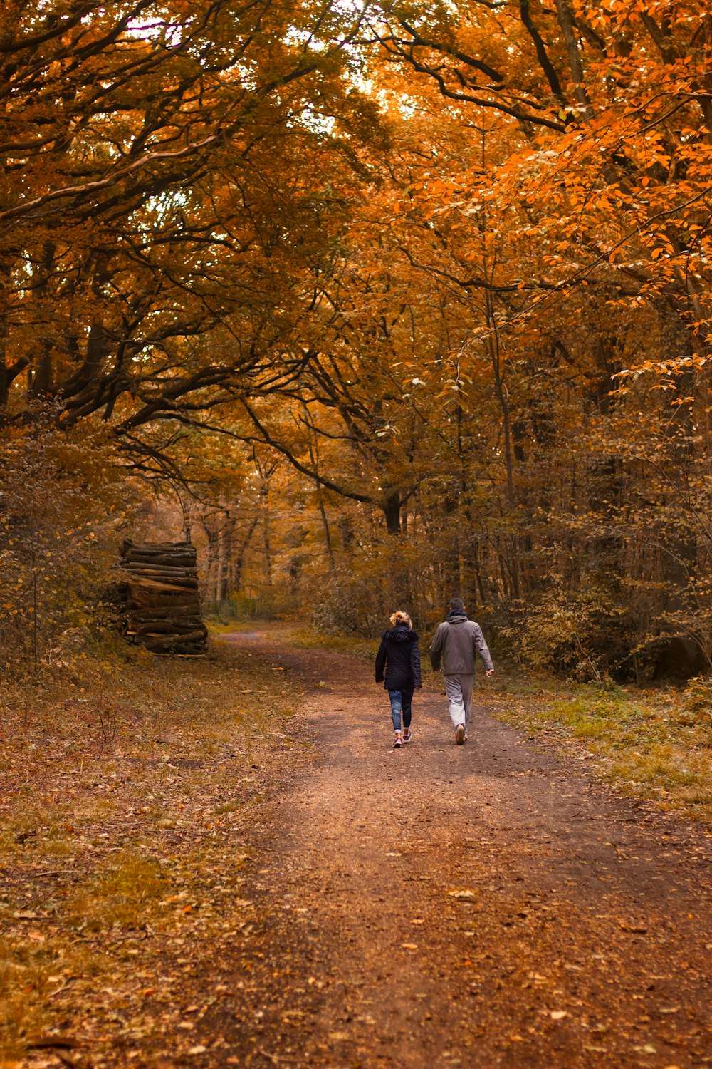 man and woman walking on brown dirt road between brown trees during daytime