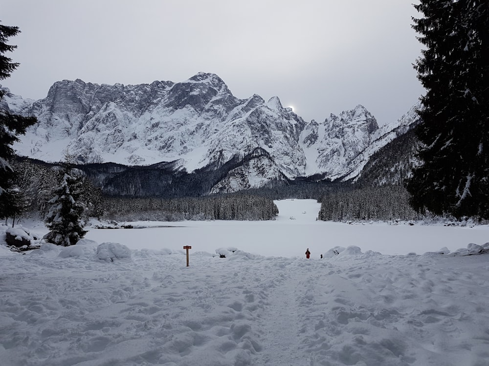 personas que caminan sobre un campo cubierto de nieve durante el día