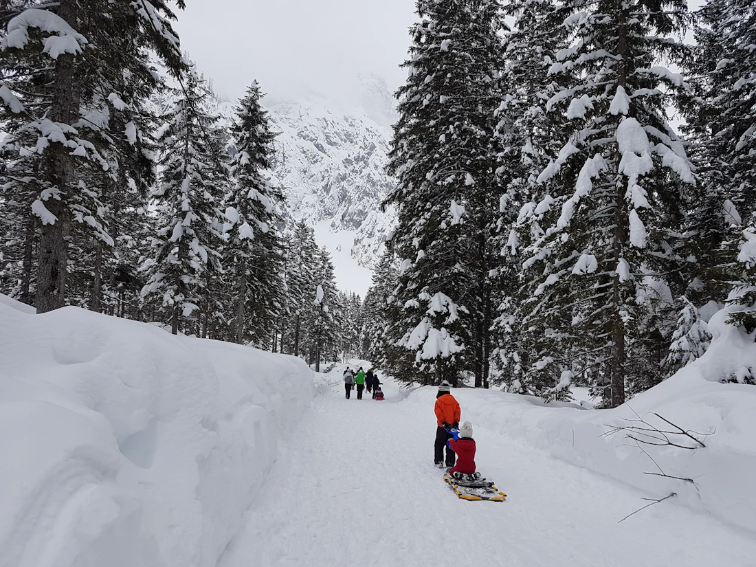 Kinderen op een slee in een besneeuwd landschap