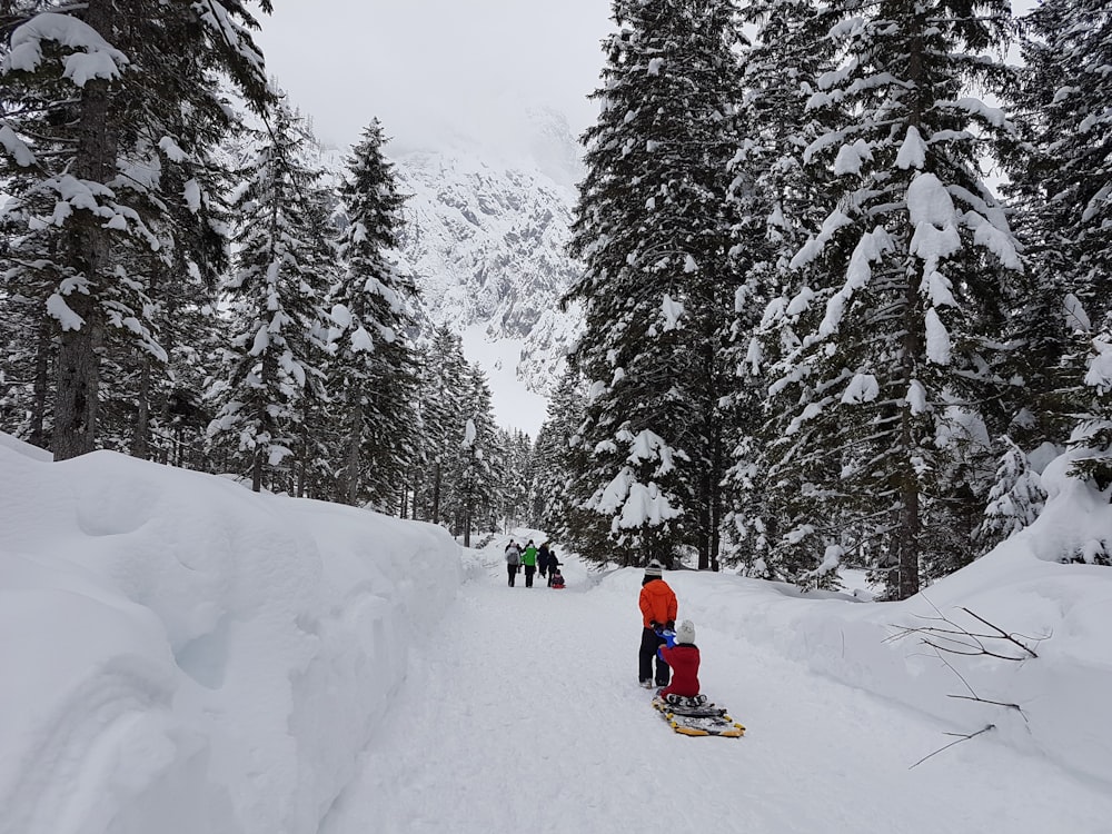 people riding on sled on snow covered ground during daytime