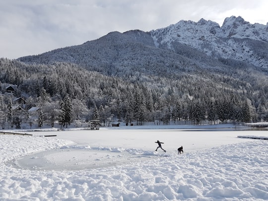 person walking on snow covered field during daytime in Jezero Jasna Slovenia