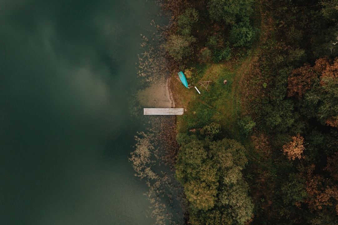 aerial view of green trees and river