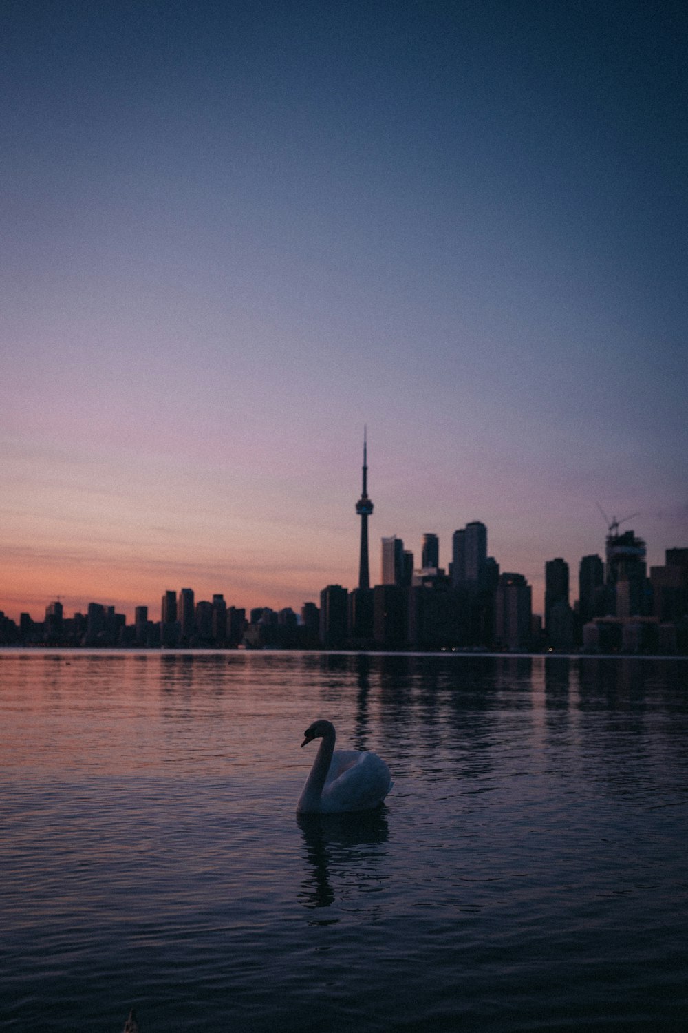 person in white shirt sitting on rock near body of water during sunset