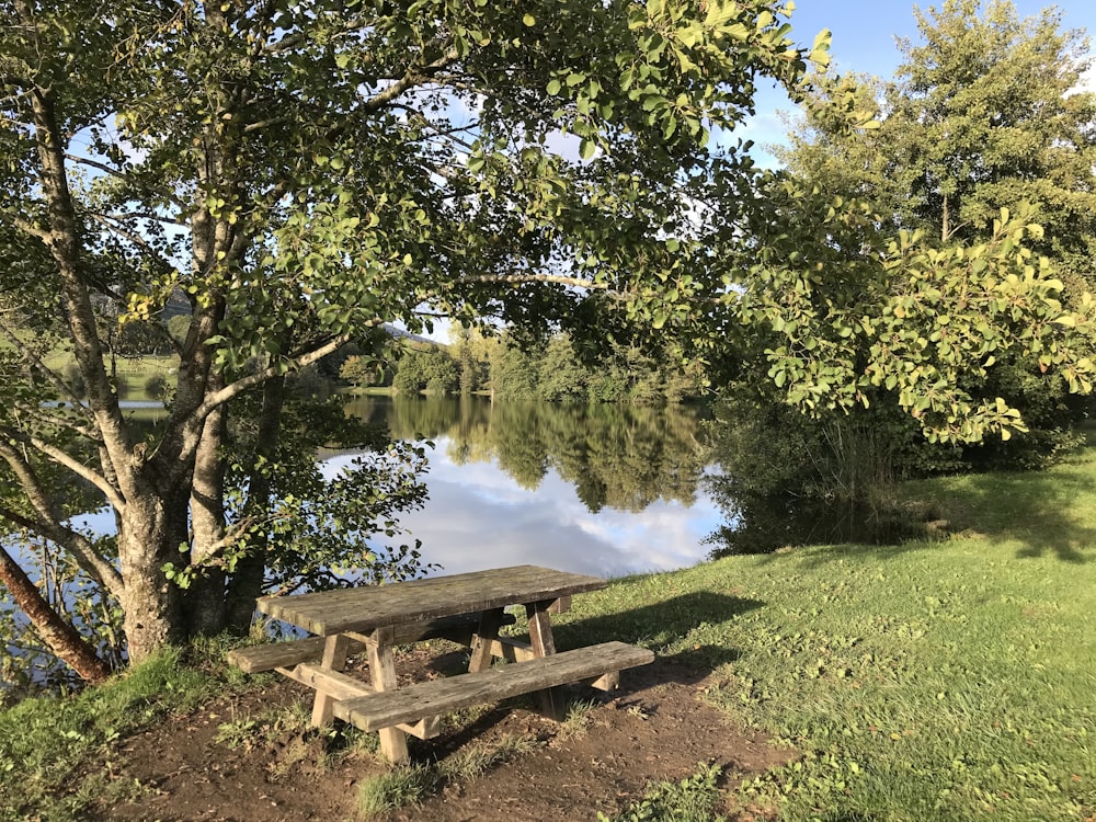 brown wooden picnic table near green trees and lake during daytime