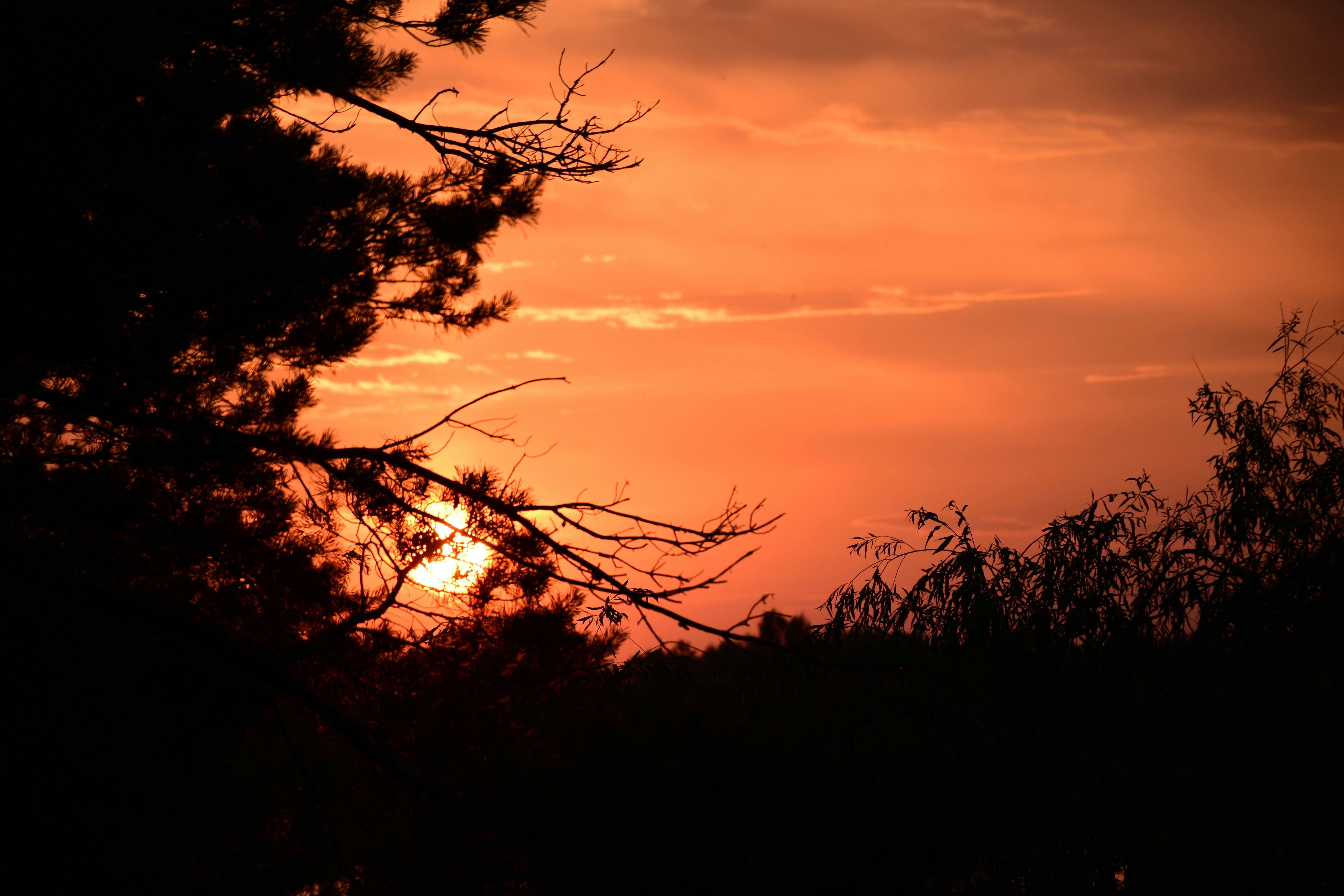 Photo by yaroslavshum