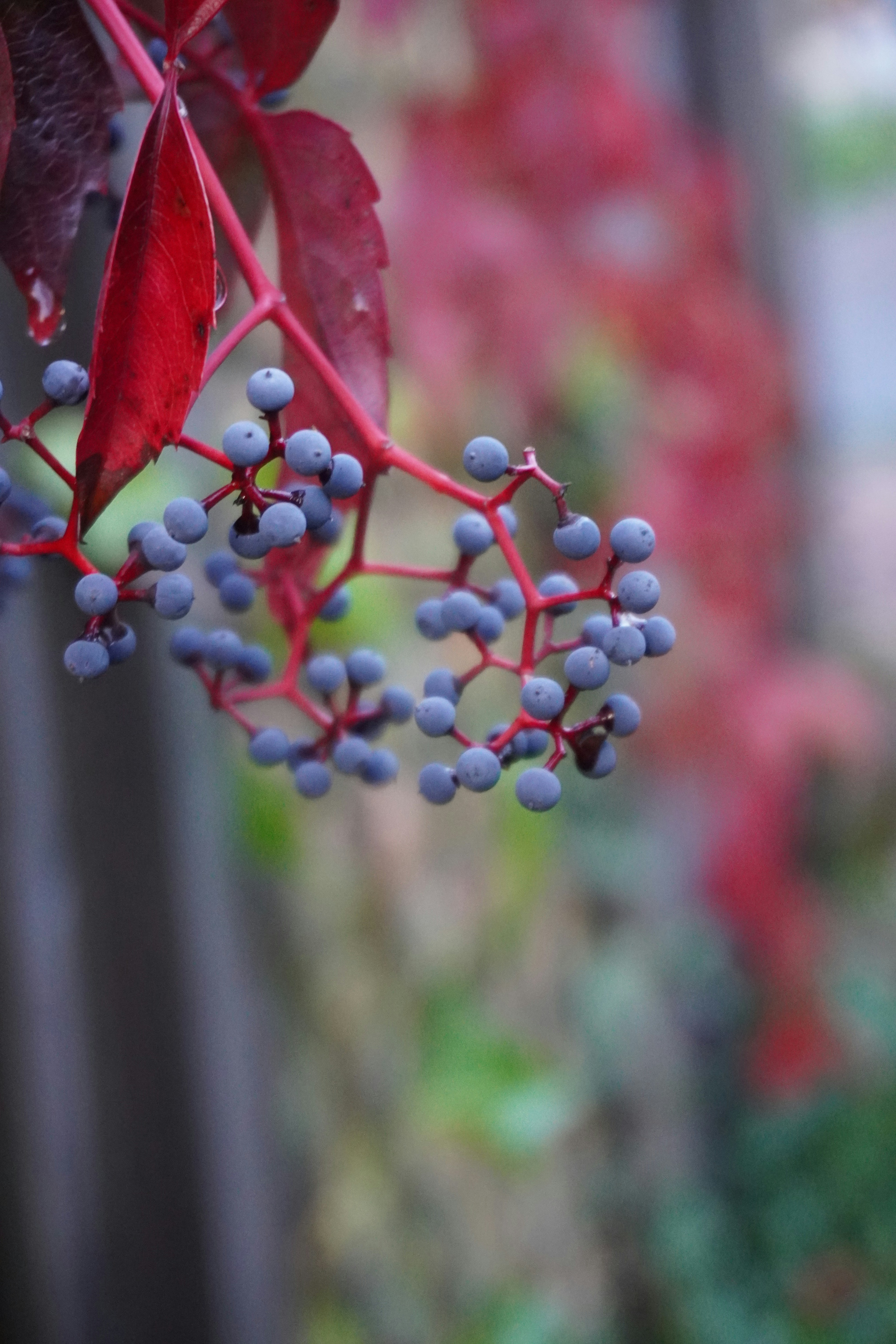 Photo by khyta