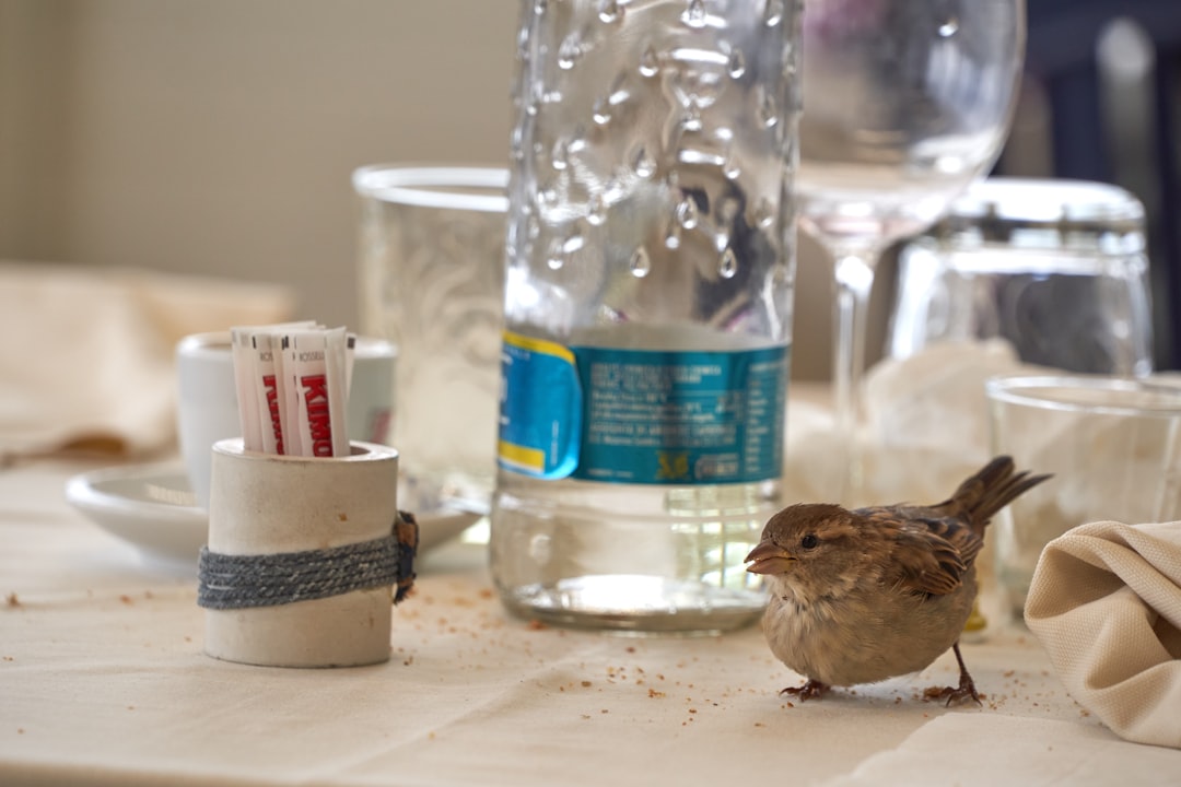 brown bird on white and blue labeled plastic bottle