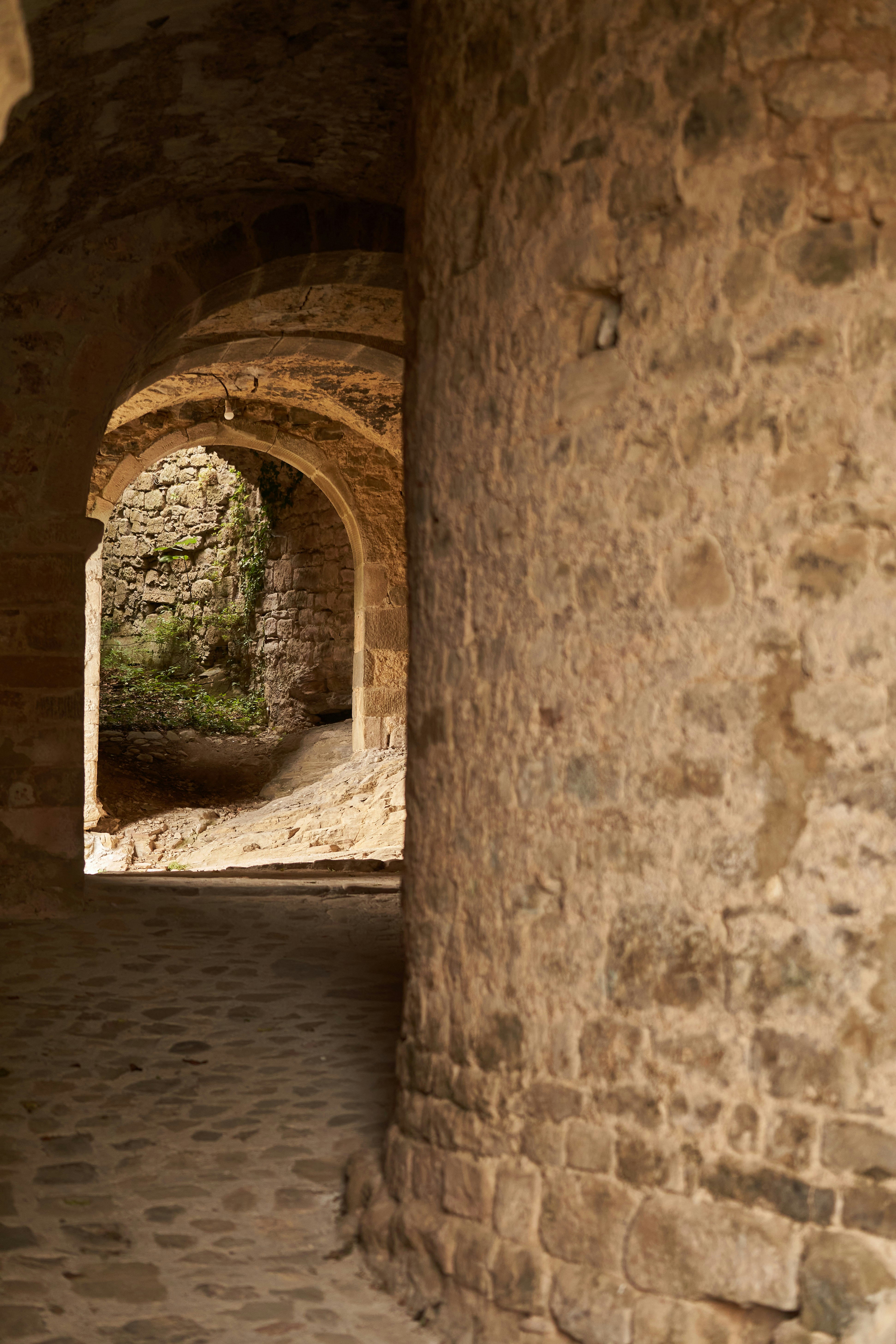 Photo by wolfgang_hasselmann