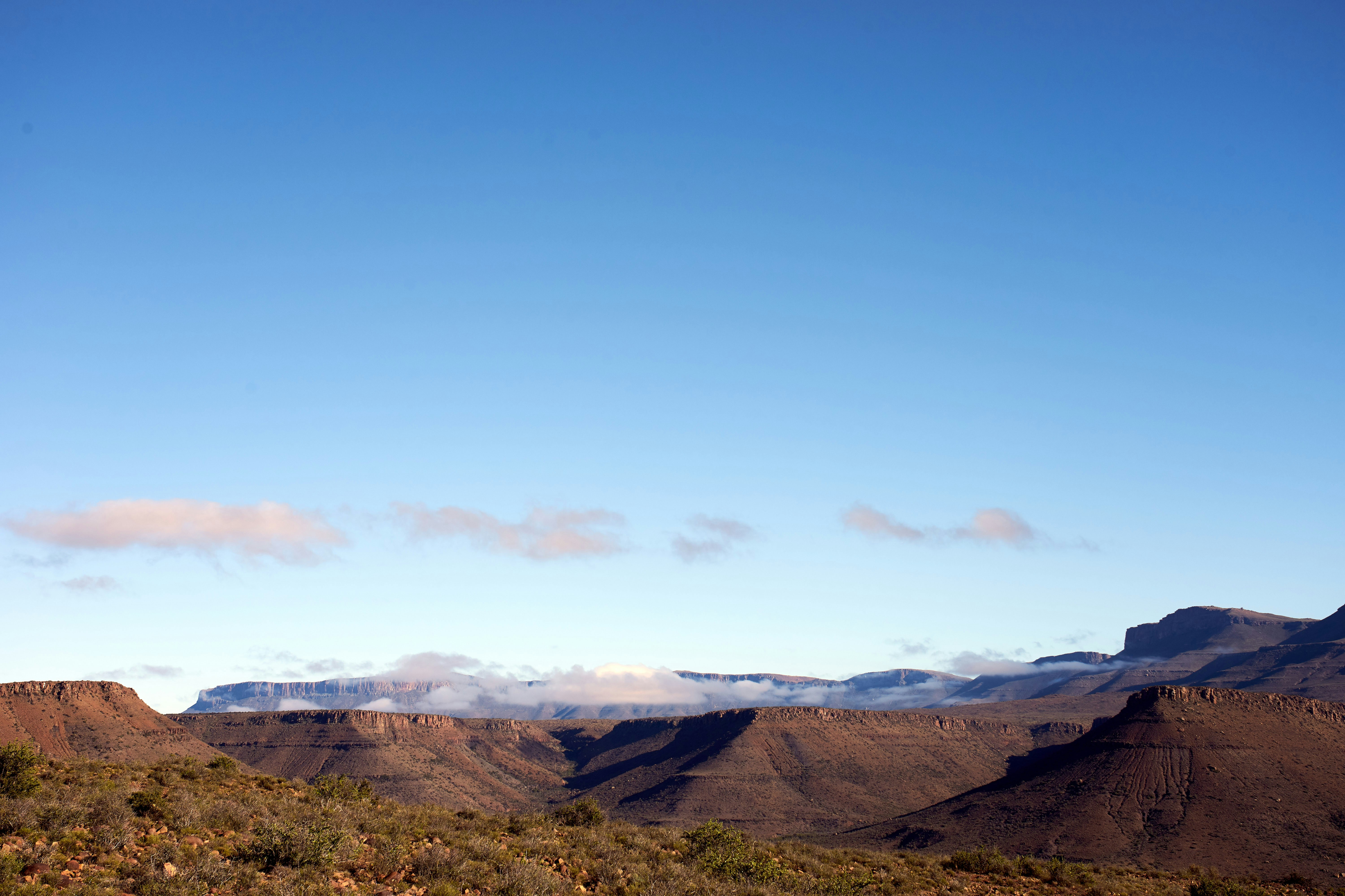 Photo by wolfgang_hasselmann