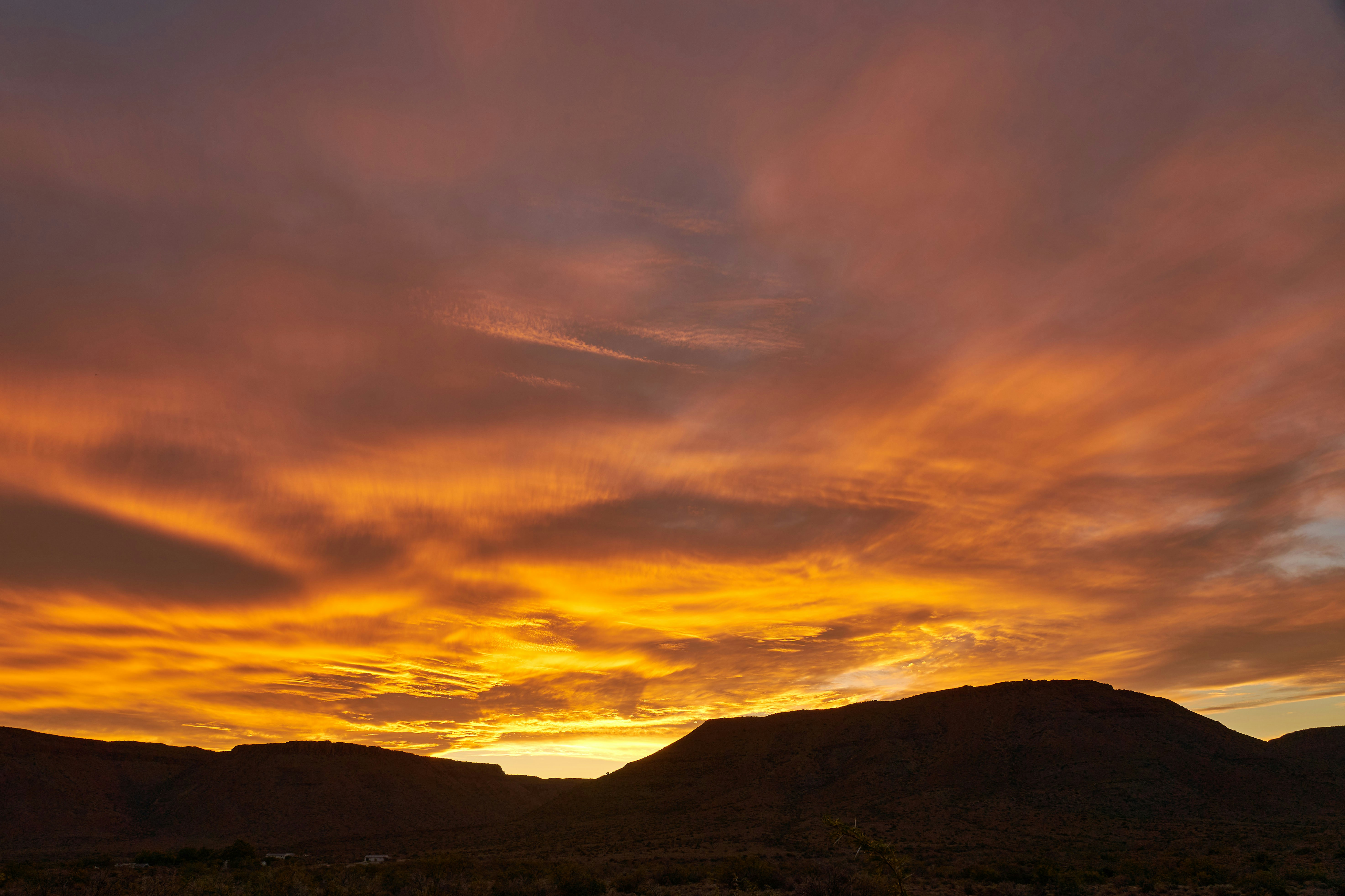 Photo by wolfgang_hasselmann