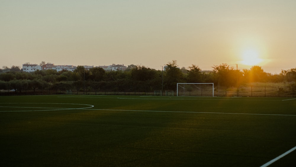 green grass field near trees during daytime