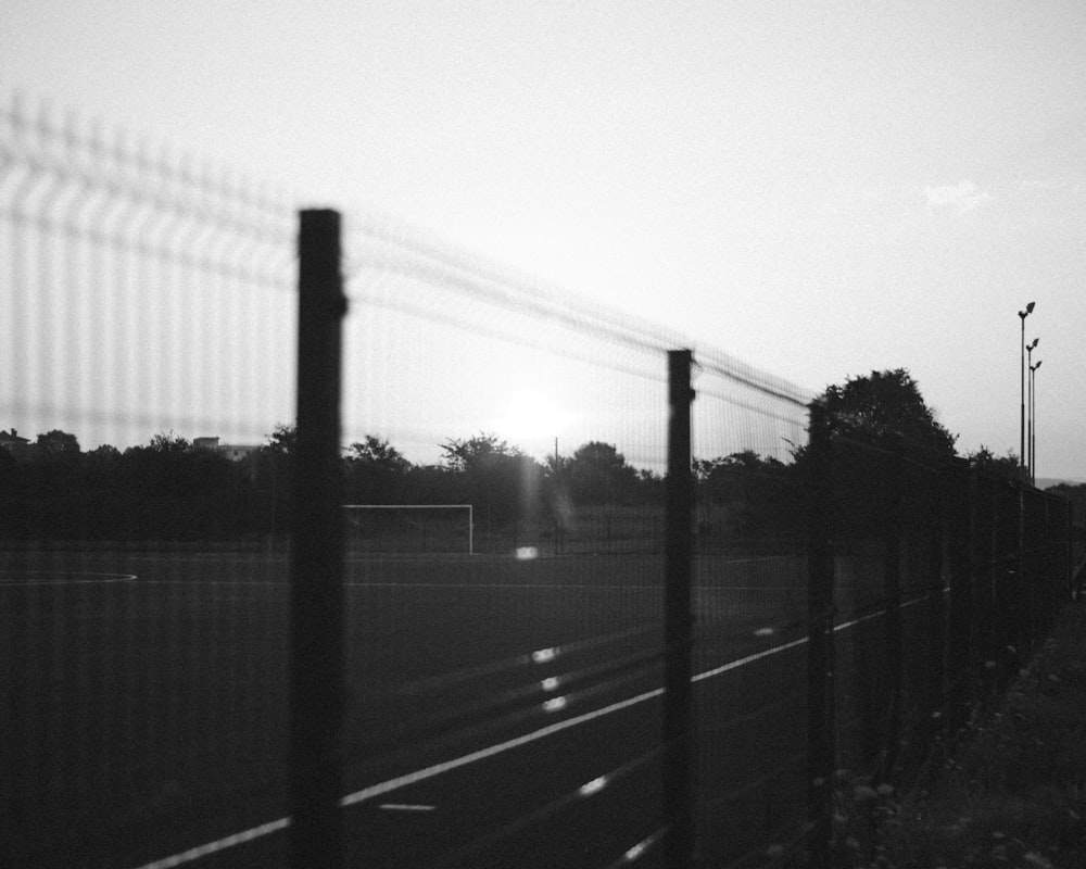 grayscale photo of road with trees