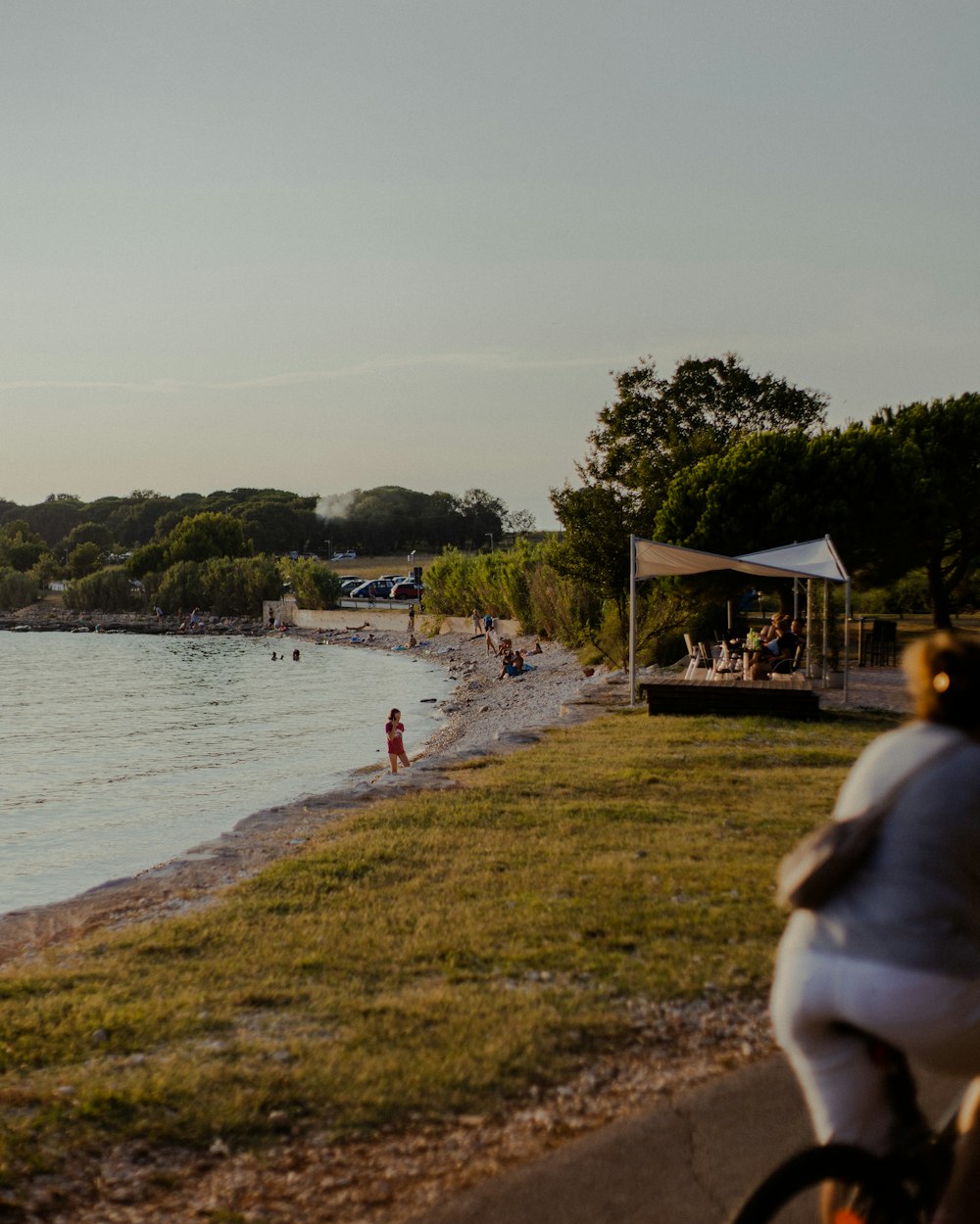 people on green grass field near body of water during daytime