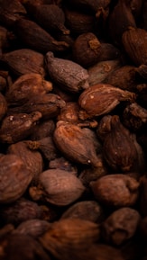 fave di cacao tostate
