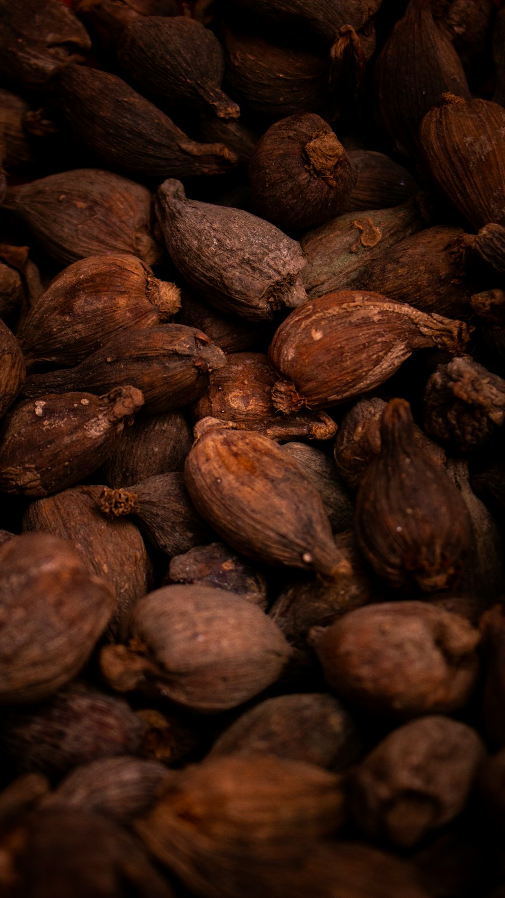 brown and black round fruit