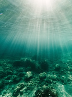 Sunlight filtering through crystal-clear waters onto the sandy ocean floor near Isla Isabel