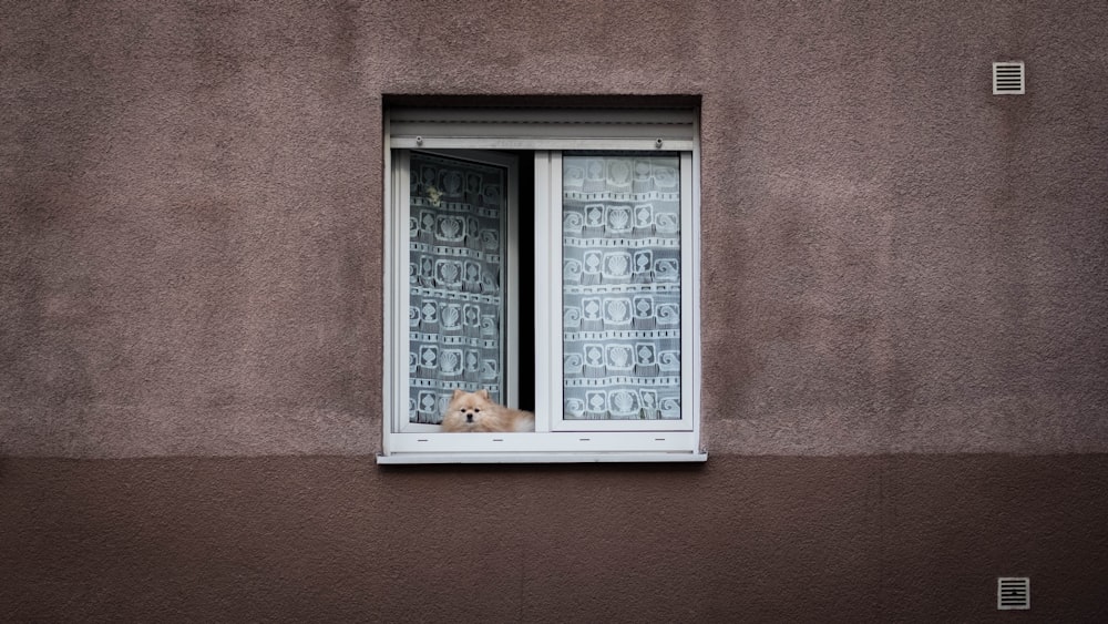 white wooden framed glass window