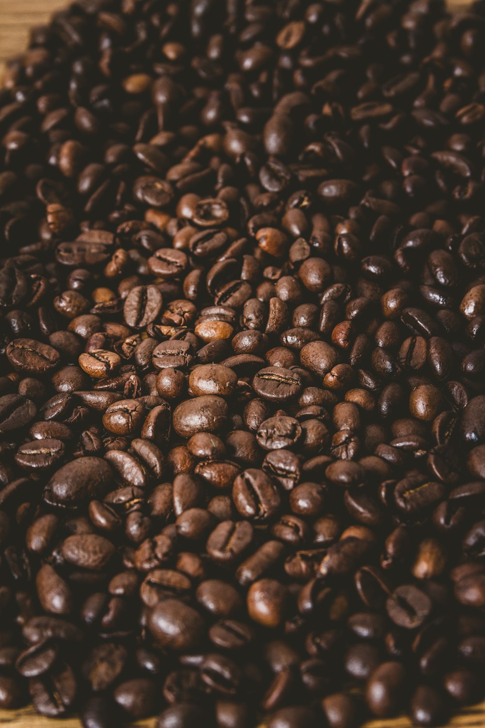 coffee beans in close up photography