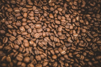 coffee beans on black surface