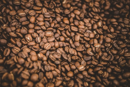 coffee beans on black surface